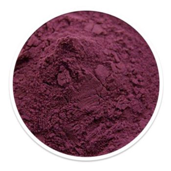 Organic Blueberry Juice Powder