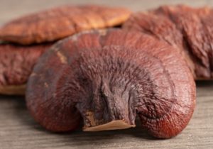 Organic Reishi Mushroom Extract