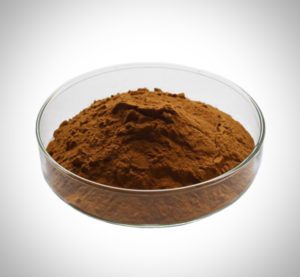 Pure Shilajit Resin (Mumiju)