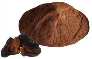 Wild Harvested Organic Chaga Mushroom