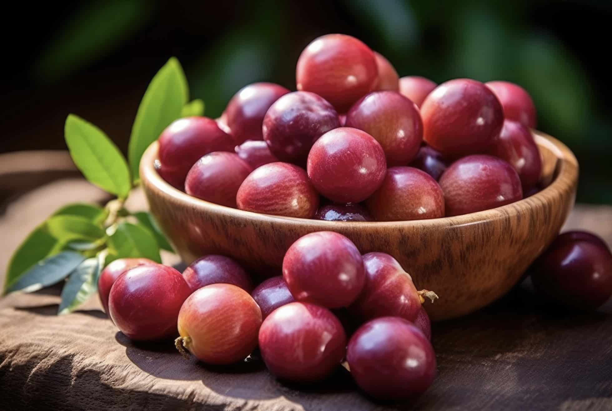 Camu camu fruits in the sun