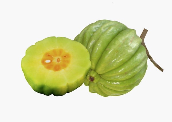 Garcinia cambogia fruit